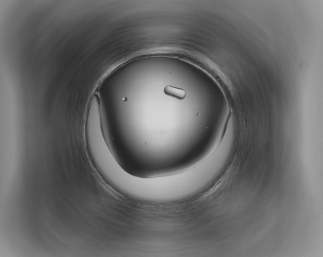 X0000112941417200909141338