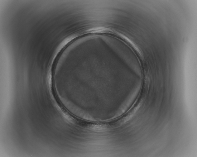 X0000112941418200909141338