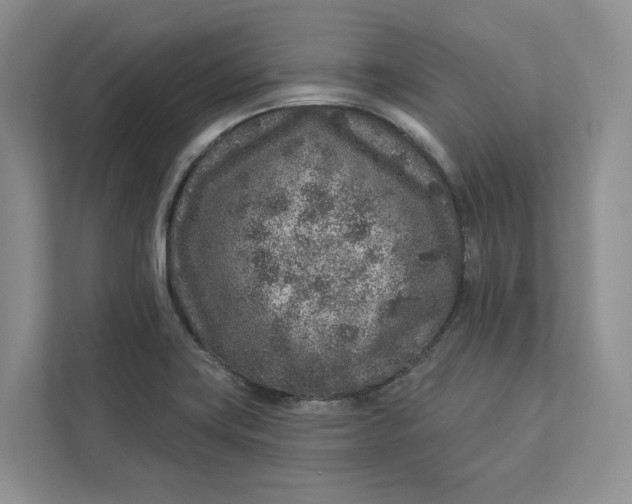 X0000112941419200909141338