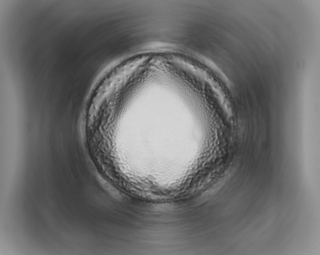 X0000112941421200909141338