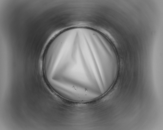 X0000112941424200909141338