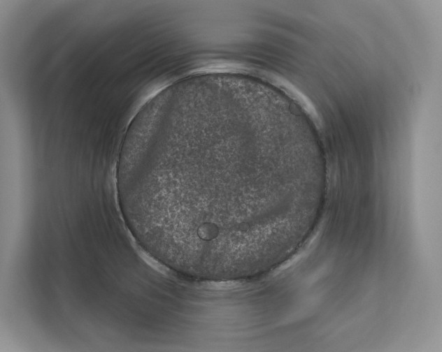 X0000112941425200909141338