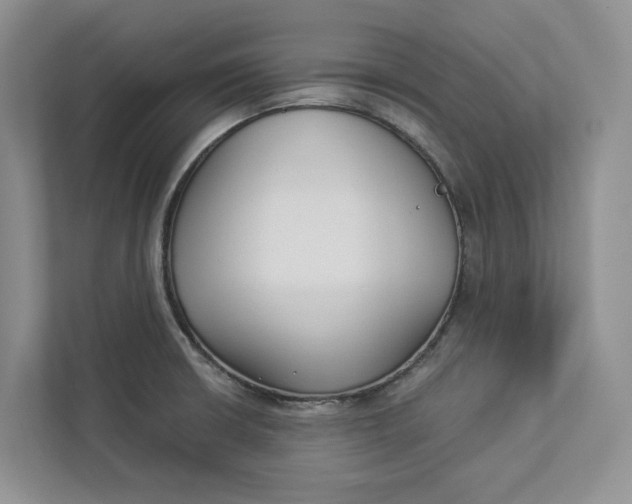 X0000112941426200909141338