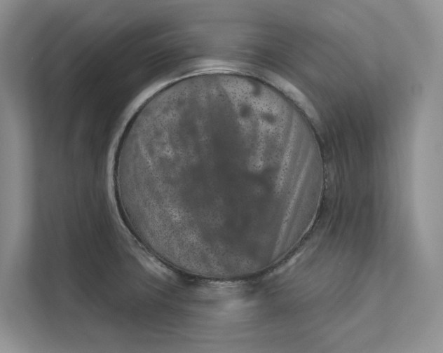 X0000112941427200909141338