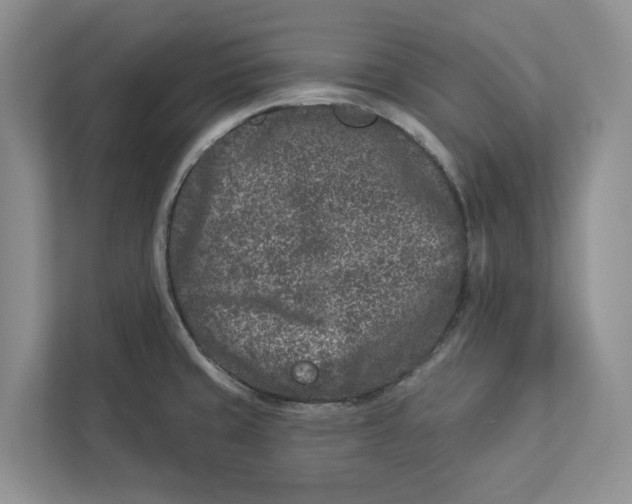 X0000112941429200909141338