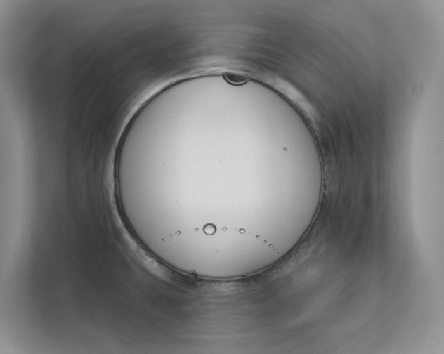 X0000112941431200909141338