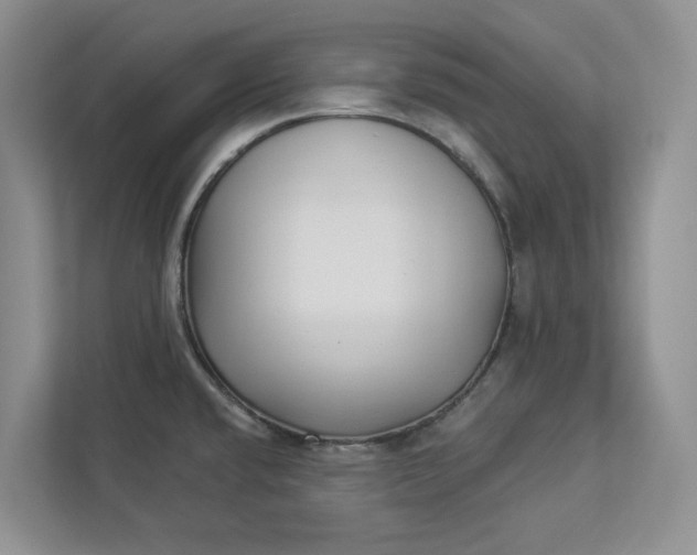 X0000112941432200909141338