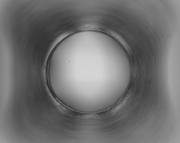 X0000112941434200909141338