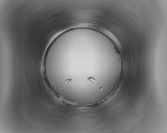 X0000112941436200909141338