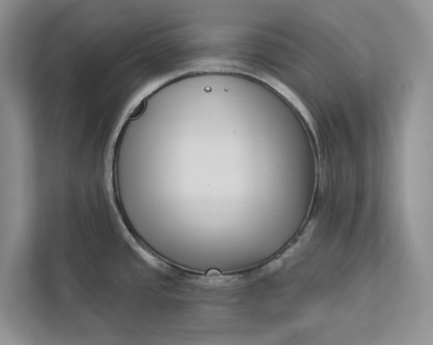 X0000112941437200909141338