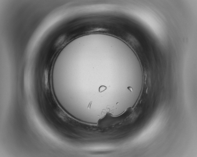 X0000112941439200909141338