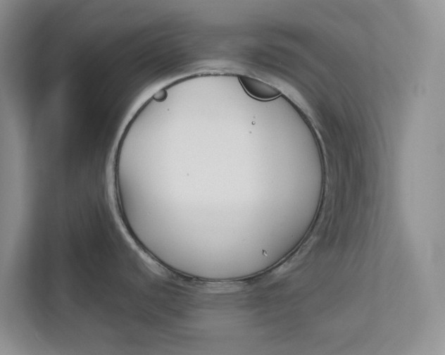 X0000112941440200909141338