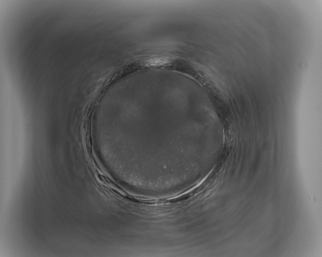 X0000112941441200909141337