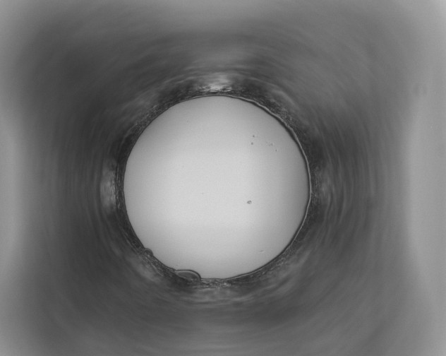 X0000112941442200909141337