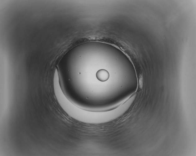 X0000112941444200909141337