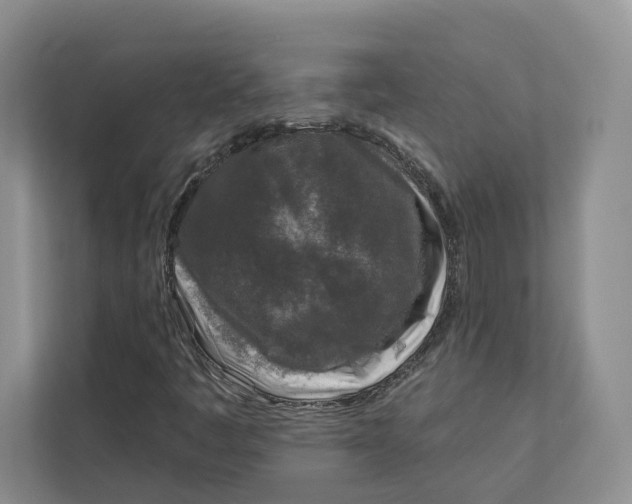 X0000112941445200909141337