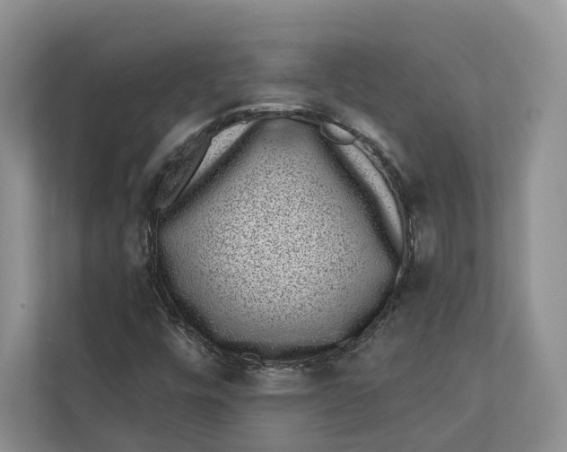 X0000112941448200909141337