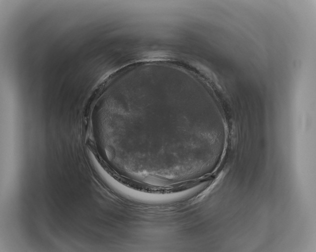 X0000112941449200909141337