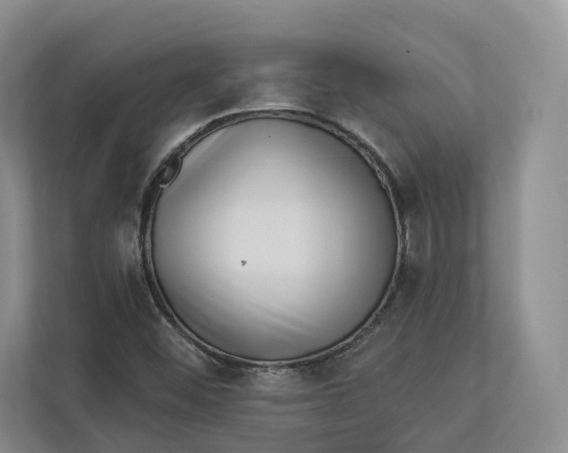 X0000112941452200909141337