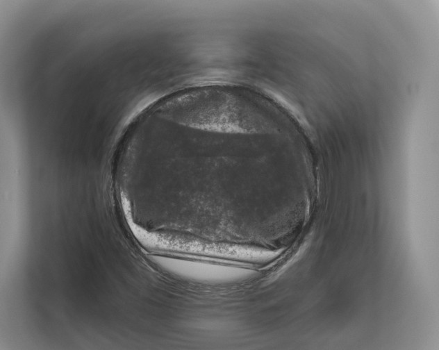 X0000112941453200909141337