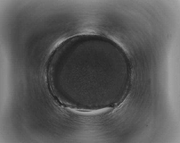 X0000112941455200909141337