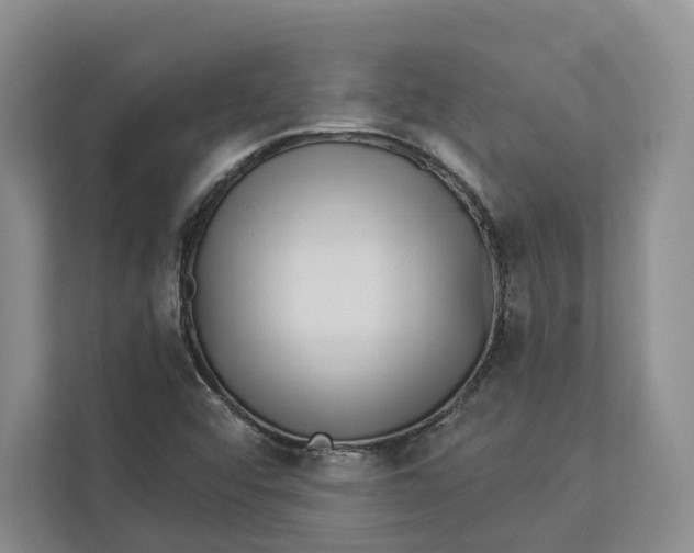 X0000112941456200909141337