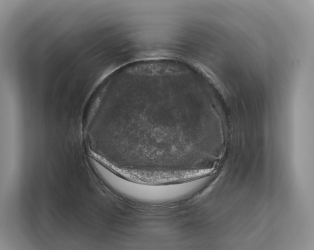 X0000112941457200909141337