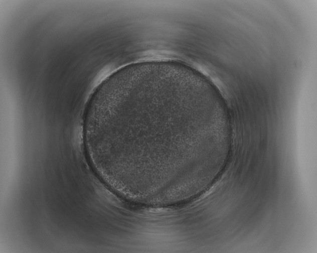 X0000112941459200909141337