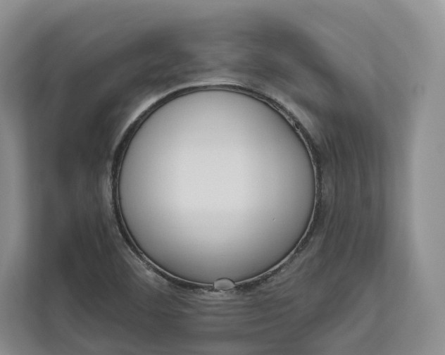 X0000112941460200909141337