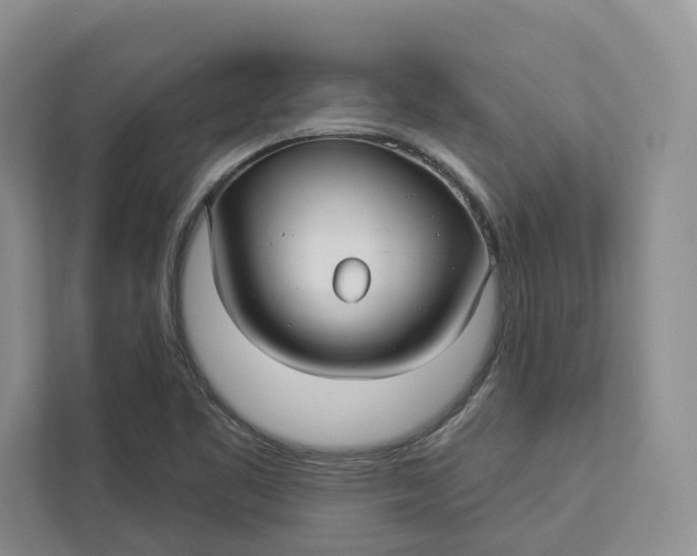 X0000112941461200909141337