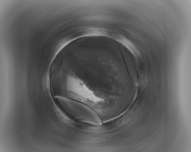 X0000112941468200909141337