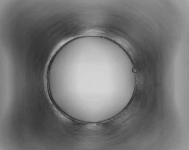 X0000112941478200909141337