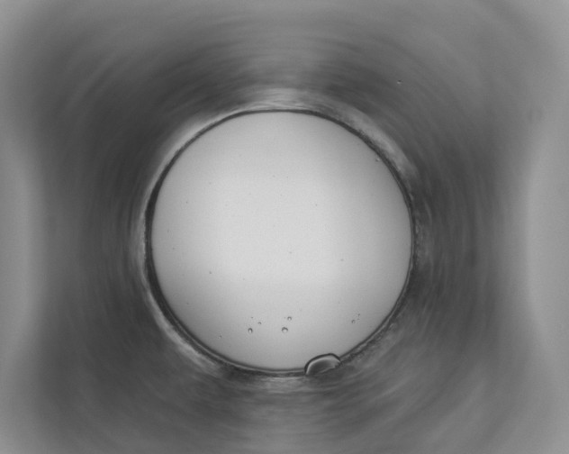 X0000112941479200909141337