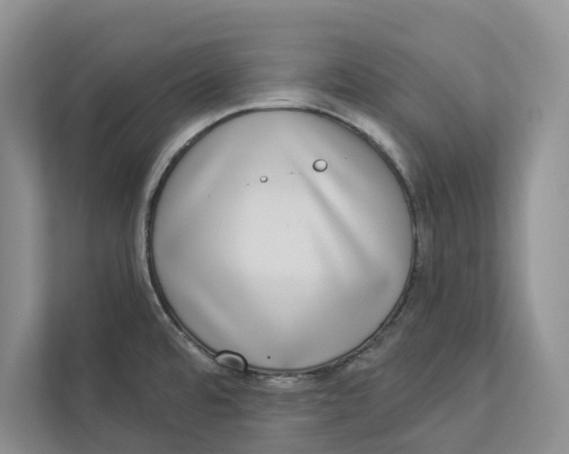 X0000112941480200909141337