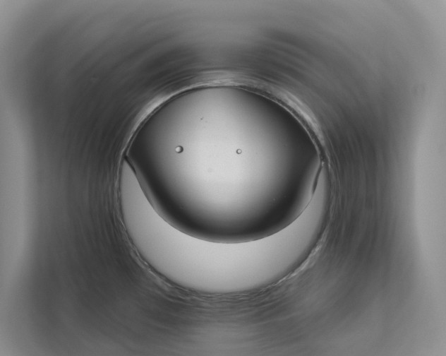 X0000112941481200909141337