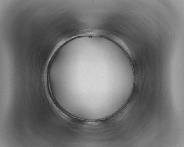 X0000112941483200909141337