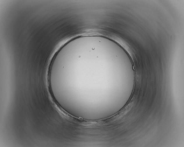 X0000112941485200909141337