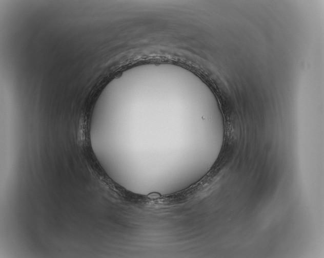 X0000112941490200909141336