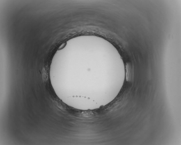 X0000112941491200909141336