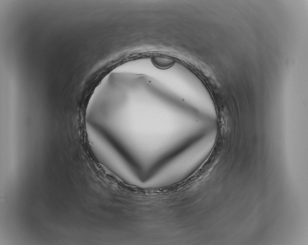 X0000112941494200909141336