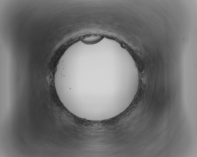 X0000112941495200909141336