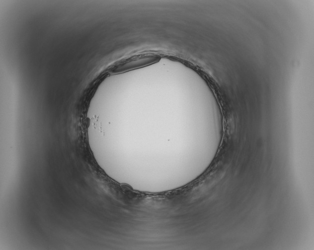 X0000112941496200909141336