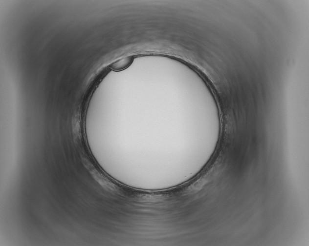 X0000112941499200909141336