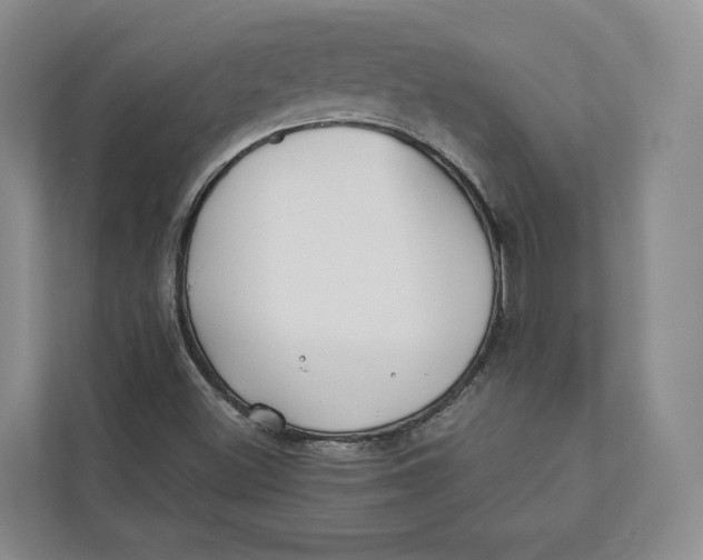 X0000112941500200909141336