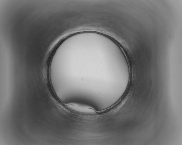 X0000112941502200909141336