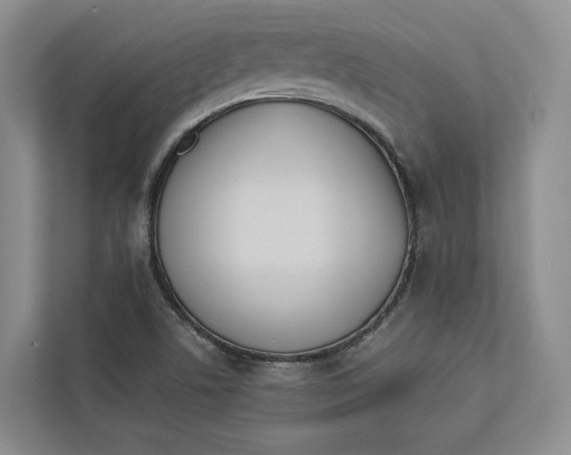 X0000112941506200909141336