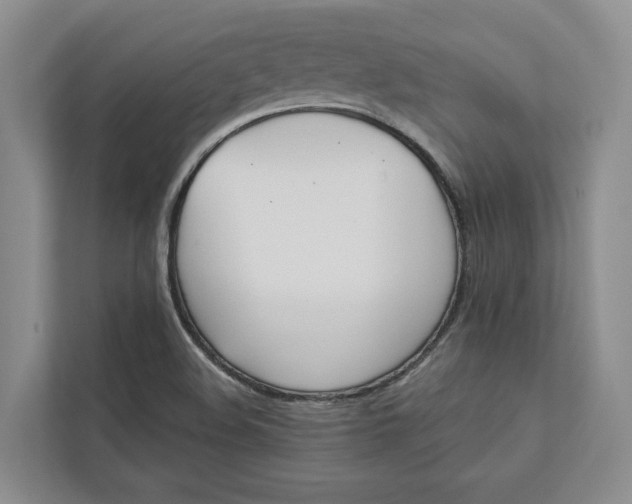 X0000112941508200909141336