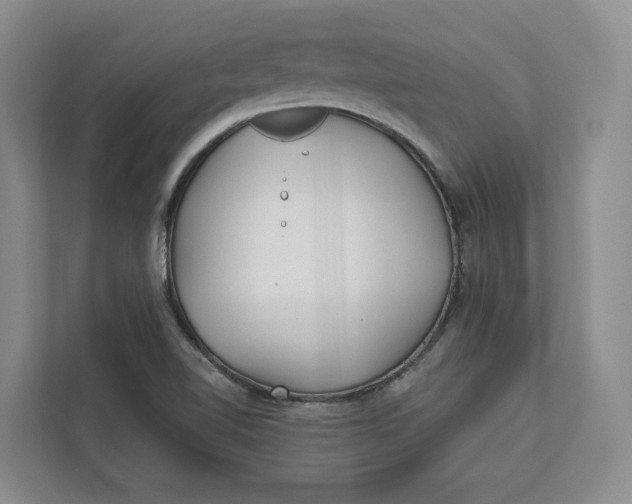 X0000112941510200909141336