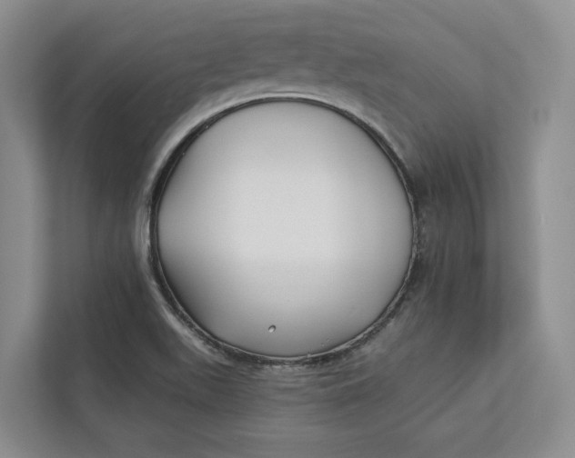 X0000112941511200909141336