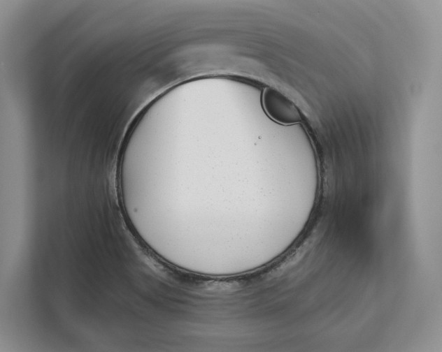 X0000112941513200909141336